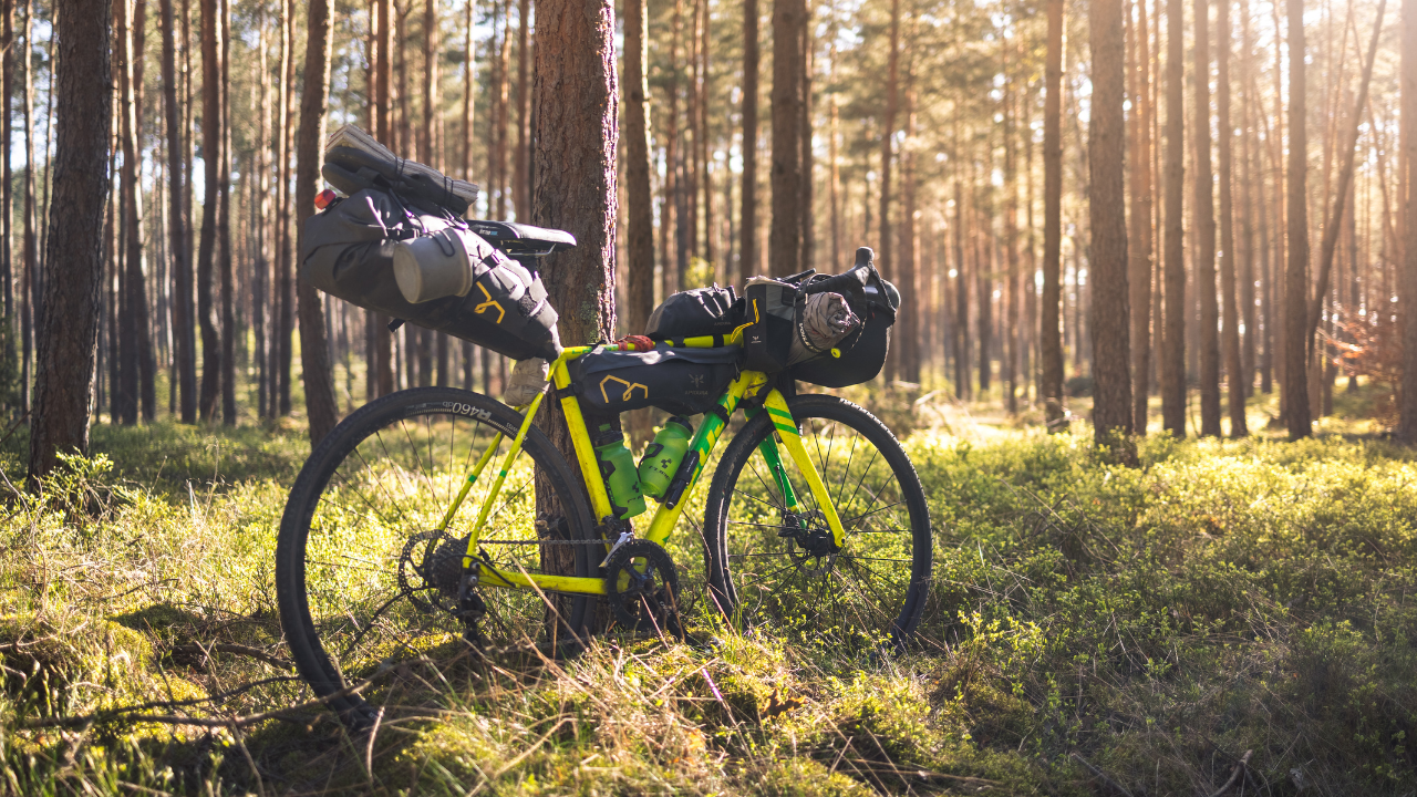 Bikepacking-cykel med packväskor och tältutrustning i solig tallskog, exempel på camping utan bil.